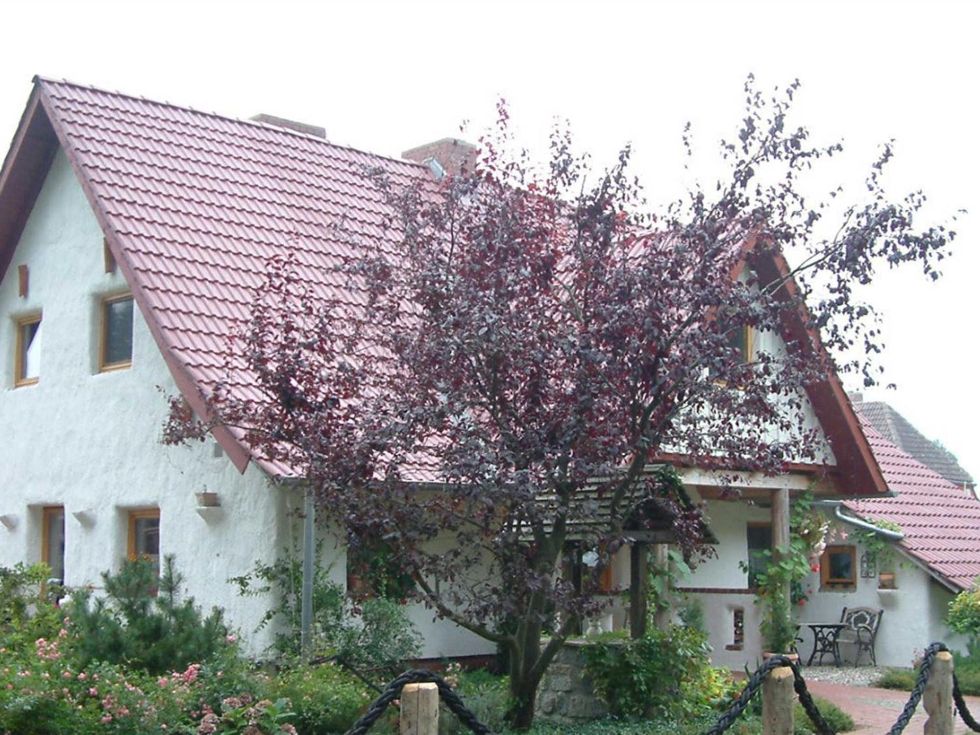Haus Jasmin Apartment Bodstedt Luaran gambar